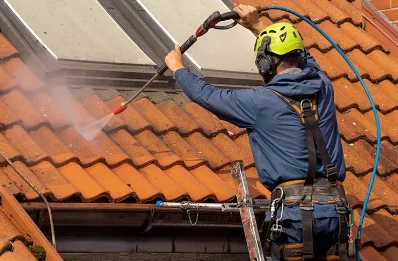 Démoussage et hydrofuge de toiture à Demigny